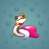 Pet Snake #9961