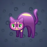 Scared Cat #17786