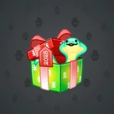 Snake Box #9974