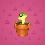 Snake Box #9975