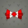 Bow Tie #2509
