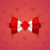 Bow Tie #532