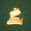 Pet Snake #1797