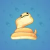 Pet Snake #2907