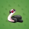 Pet Snake #3125