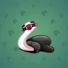 Pet Snake #4795
