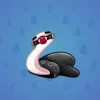 Pet Snake #5574