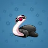 Pet Snake #6365