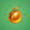 Precious Peach #1241