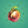 Precious Peach #1578