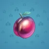 Precious Peach #1899