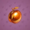 Precious Peach #2479