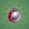 Precious Peach #2539
