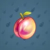 Precious Peach #2683