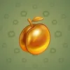 Precious Peach #436