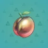 Precious Peach #699