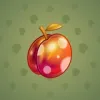 Precious Peach #781