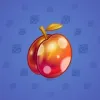 Precious Peach #798