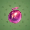 Precious Peach #973