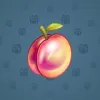 Precious Peach #997