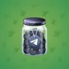 Restless Jar #2733