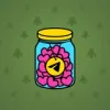Restless Jar #300