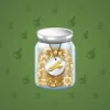 Restless Jar #4216