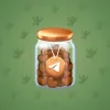 Restless Jar #4874