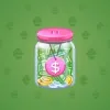 Restless Jar #8128