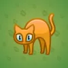 Scared Cat #10462