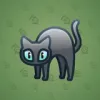 Scared Cat #10576