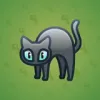Scared Cat #11204