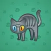 Scared Cat #11211