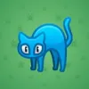 Scared Cat #11284