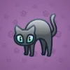 Scared Cat #11616