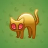 Scared Cat #11891