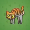 Scared Cat #11894