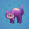 Scared Cat #12431