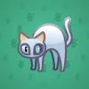 Scared Cat #12474