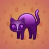 Scared Cat #12551