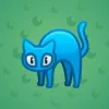 Scared Cat #12565