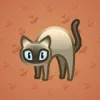 Scared Cat #127