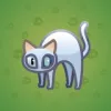 Scared Cat #12835