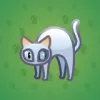 Scared Cat #13474