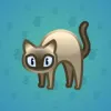 Scared Cat #13668