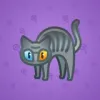 Scared Cat #13756