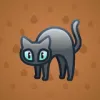 Scared Cat #14497