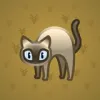 Scared Cat #14528
