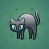 Scared Cat #14648