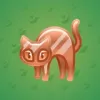 Scared Cat #14720